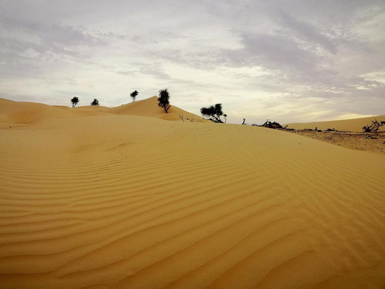 Fulayj al Masha'ikh Queen Desert Camp מראה חיצוני תמונה